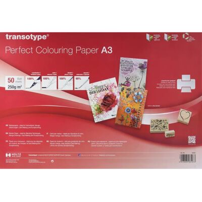 transotype Perfektes Malpapier - DIN A3 250g/50 Blatt transotype Perfektes Malpapier - DIN A3 250g/50 Blatt
