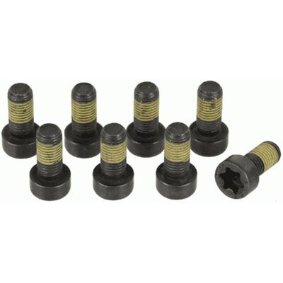 Sachs BMW Modell 1874 000 044 Svänghjulsbulteset Sachs BMW Modell 1874 000 044 Svänghjulsbulteset
