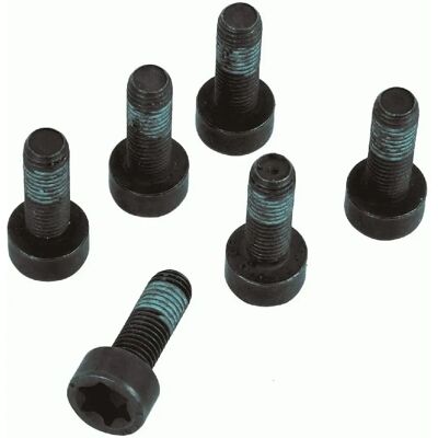 Set viti SACHS per volano Ford - Ecosport, Kuga Set viti SACHS per volano Ford - Ecosport, Kuga