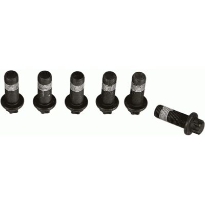 Sachs Ford Ecosport svänghjulsskruvset - Motorreparationsdel Sachs Ford Ecosport svänghjulsskruvset - Motorreparationsdel