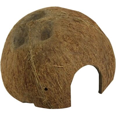 JBL Cocos Cava Coquille de noix de coco - Grotte pour aquariums et terrariums - Publicité JBL Cocos Cava Coquille de noix de coco - Grotte pour aquariums et terrariums - Publicité