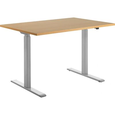 Topstar Höhenverstellbarer Schreibtisch - Elektrisch, 1200x800mm, Grau Topstar Höhenverstellbarer Schreibtisch - Elektrisch, 1200x800mm, Grau