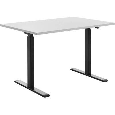 Topstar Elektrisch höhenverstellbarer Schreibtisch - Lichtgrau - 1200x800mm Topstar Elektrisch höhenverstellbarer Schreibtisch - Lichtgrau - 1200x800mm