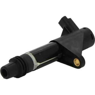 Bobina de aprindere Borgwarner - Pentru Citroën & Fiat - 12V, 2 contacte Bobina de aprindere Borgwarner - Pentru Citroën & Fiat - 12V, 2 contacte