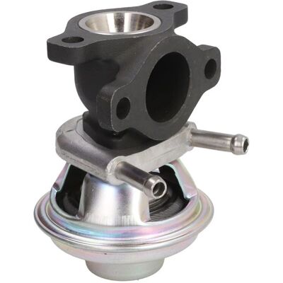 Wahler 712069D Pneumatic EGR Valve for Fiat, Iveco - EGR Valve Wahler 712069D Pneumatic EGR Valve for Fiat, Iveco - EGR Valve