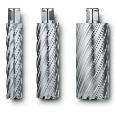 FEIN 63134300054 Hammerbohrer - Weldon 3/4 in - Hohe Haltbarkeit FEIN 63134300054 Hammerbohrer - Weldon 3/4 in - Hohe Haltbarkeit