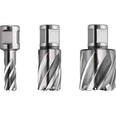 Fein 63134180301 Kernbohrung - Weldon Halter 3/4" - Lange Lebensdauer Fein 63134180301 Kernbohrung - Weldon Halter 3/4" - Lange Lebensdauer