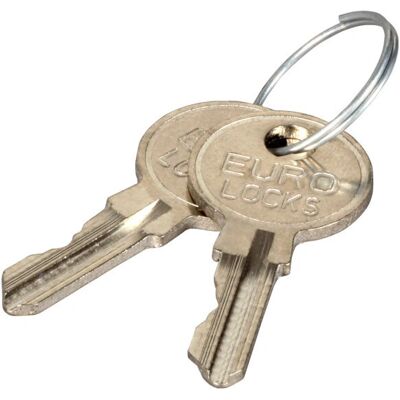 EFB Elektronik 102115 Metallischer Schlüsselsatz für Verteilerschrank - utility/control cabinet key EFB Elektronik 102115 Metallischer Schlüsselsatz für Verteilerschrank - utility/control cabinet key
