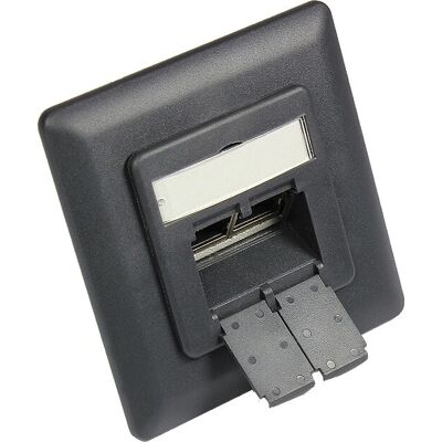 Alcasa GC-N0052AG Enchufe Ethernet - Blindado, 2x RJ45, Vertical, Gris antracita Alcasa GC-N0052AG Enchufe Ethernet - Blindado, 2x RJ45, Vertical, Gris antracita