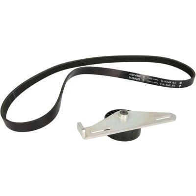INA V-Ribbed Belt Set - Renault lisävarustevetok INA V-Ribbed Belt Set - Renault lisävarustevetok