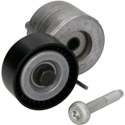 INA 534 0607 10 Tensionatore - Cinghia a V INA 534 0607 10 Tensionatore - Cinghia a V