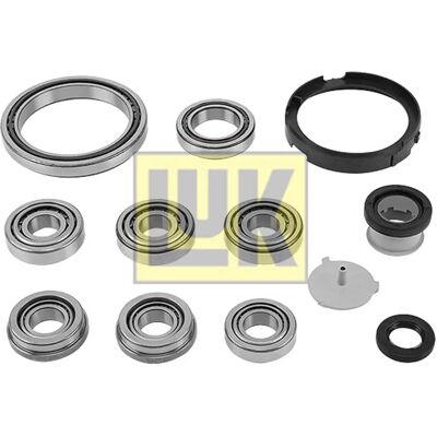 Kit di riparazione INA 462 0155 10 - Cambio manuale Kit di riparazione INA 462 0155 10 - Cambio manuale