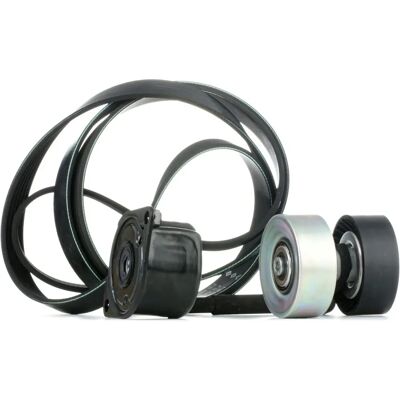INA Remmensetti - Sopii BMW E46, E60, X3, X5 INA Remmensetti - Sopii BMW E46, E60, X3, X5