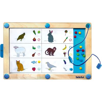 Beleduc 21070 - Multikleur Logisch Magnetspel - Educatief Speelgoed Beleduc 21070 - Multikleur Logisch Magnetspel - Educatief Speelgoed
