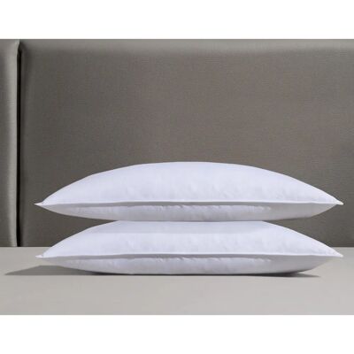 RIBECO Federkissen-Set Laram - Atmungsaktive Baumwolle, Daunen und Federn - 40x80cm RIBECO Federkissen-Set Laram - Atmungsaktive Baumwolle, Daunen und Federn - 40x80cm