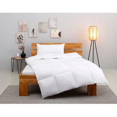 HOME AFFAIRE Taylore Set aus 1 Bettdecke 135x200 cm & Kissen 80x80 cm - Bettwaren-Sets HOME AFFAIRE Taylore Set aus 1 Bettdecke 135x200 cm & Kissen 80x80 cm - Bettwaren-Sets