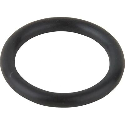 Hansa 59910423 - 15x2,5 O-Ring für Armaturen Hansa 59910423 - 15x2,5 O-Ring für Armaturen