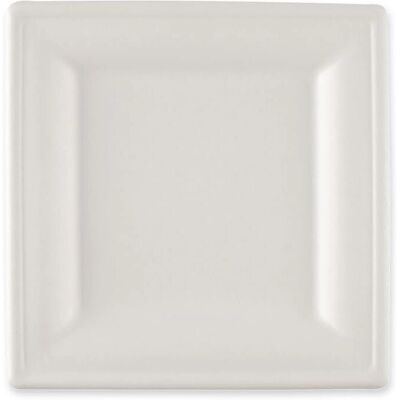 NatureStar - SFM-41020 - Bagasse - Platten NatureStar - SFM-41020 - Bagasse - Platten