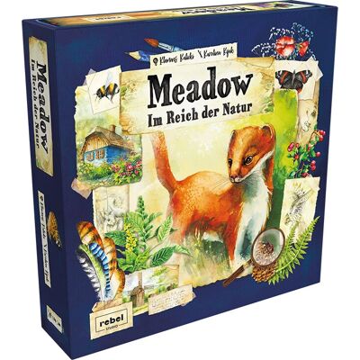 Asmodée Meadow Modell - Strategiespiel Asmodée Meadow Modell - Strategiespiel