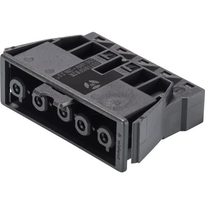WIELAND - GST 18-5F B2-SW - Black - 5-pole - Connector WIELAND - GST 18-5F B2-SW - Black - 5-pole - Connector