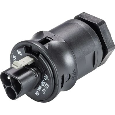 WIELAND RST20I3 GS1 M20 - Electrical Connector WIELAND RST20I3 GS1 M20 - Electrical Connector