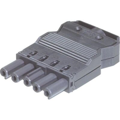 Wieland Modell 92.953.4053.1 Weiblicher Anschluss - Elektrischer Stecker Wieland Modell 92.953.4053.1 Weiblicher Anschluss - Elektrischer Stecker