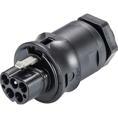 WIELAND RST20I5 GS3 - Elektrischer Anschluss - Schwarz WIELAND RST20I5 GS3 - Elektrischer Anschluss - Schwarz