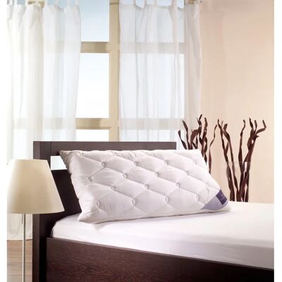 BILLERBECK Novoflex Nackenstützkissen - Allergikerfreundlich, Memory Foam, 40x80cm BILLERBECK Novoflex Nackenstützkissen - Allergikerfreundlich, Memory Foam, 40x80cm