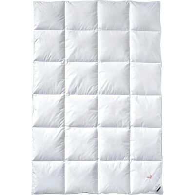 Billerbeck - E04 Gold Edition - 135x200 cm - Piumone Billerbeck - E04 Gold Edition - 135x200 cm - Piumone