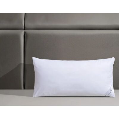 BILLERBECK Liliane - Allergiker Mikrofaser Kissen BILLERBECK Liliane - Allergiker Mikrofaser Kissen