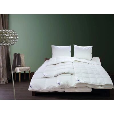 BILLERBECK Eliana 90 - Leichte Daunendecke - Bettdecke BILLERBECK Eliana 90 - Leichte Daunendecke - Bettdecke