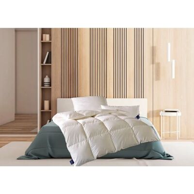 BILLERBECK Enisa 80 - Daunendecke 200x200 cm - Bett BILLERBECK Enisa 80 - Daunendecke 200x200 cm - Bett