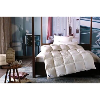 BILLERBECK Ebby 50 Mono Daunendecke - Bettdecke BILLERBECK Ebby 50 Mono Daunendecke - Bettdecke
