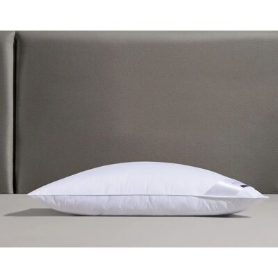 BILLERBECK Erina 30 - Allergikerfreundliches Federkissen - 80x80 cm BILLERBECK Erina 30 - Allergikerfreundliches Federkissen - 80x80 cm