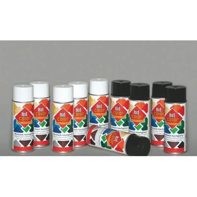 Peinture en spray satinée Hitcolor - Spray Paint - Publicité Peinture en spray satinée Hitcolor - Spray Paint - Publicité