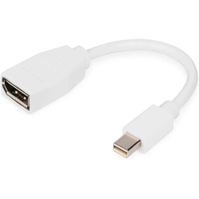 Digitus Weiß Mini DisplayPort auf DisplayPort Kabel 0,15m Digitus Weiß Mini DisplayPort auf DisplayPort Kabel 0,15m