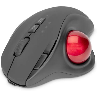 Souris sans fil ergonomique Digitus DA-20156 - Souris - Publicité Souris sans fil ergonomique Digitus DA-20156 - Souris - Publicité