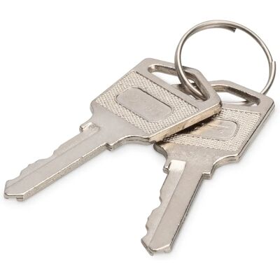 Digitus DN-45000-KEY Låsbart racktillbehör Digitus DN-45000-KEY Låsbart racktillbehör