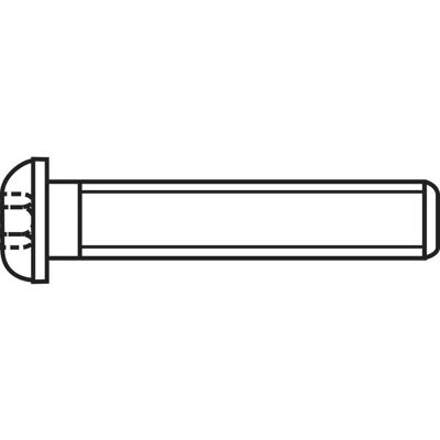 Toolcraft M6 30mm indvendigt sekskantskruer - Zinkstål 50 stk Toolcraft M6 30mm indvendigt sekskantskruer - Zinkstål 50 stk