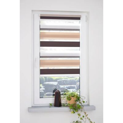LIEDECO Doppelrollo - Braun, Beige, 160x100cm - Rollos LIEDECO Doppelrollo - Braun, Beige, 160x100cm - Rollos
