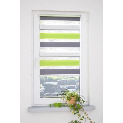 LIEDECO Mini Tricolor - Rollos - Grün, Grau, Weiß LIEDECO Mini Tricolor - Rollos - Grün, Grau, Weiß