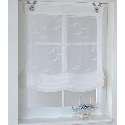 KUTTI Seabird Transparent Raffrollo - 130cm Breite KUTTI Seabird Transparent Raffrollo - 130cm Breite