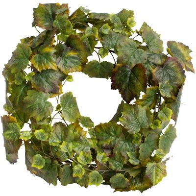 BOTANIC-HAUS Weinlaubkranz - Grüner Herbstkranz - Kranz BOTANIC-HAUS Weinlaubkranz - Grüner Herbstkranz - Kranz