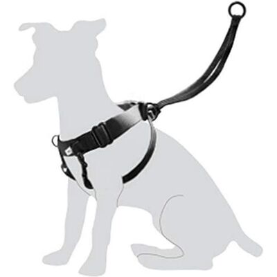 Flamingo Facile Walker M 31-39 Cm - Walker Flamingo Facile Walker M 31-39 Cm - Walker