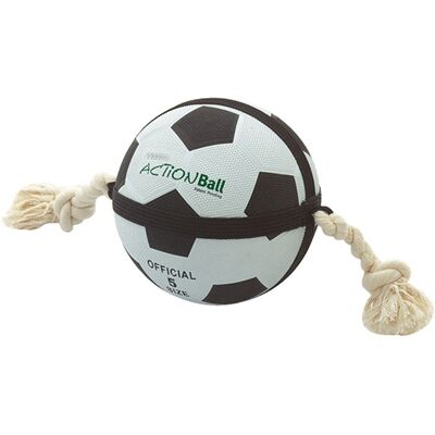 Flamingo Modell: Action Ball - Sportball für Hunde Flamingo Modell: Action Ball - Sportball für Hunde