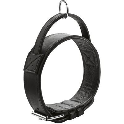 Hunter Larvik Trainingshalsband - Robustes Lederhalsband für Große Hunde Hunter Larvik Trainingshalsband - Robustes Lederhalsband für Große Hunde
