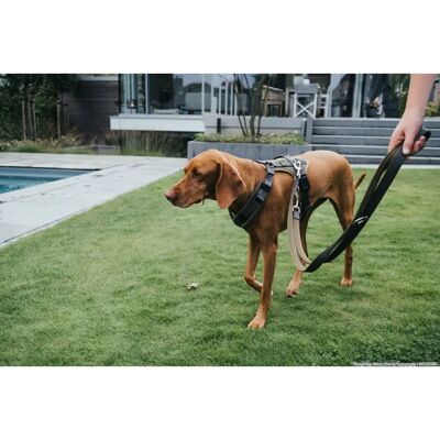 Hunter Modell Maldon Verstellbare Hundeleine - Sport & Freizeit Hunter Modell Maldon Verstellbare Hundeleine - Sport & Freizeit