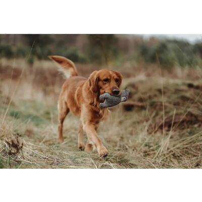 Hunter Grau Hundespielzeug - Weicher Wiederverwerteter Plüsch Hunter Grau Hundespielzeug - Weicher Wiederverwerteter Plüsch