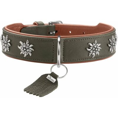 Hunter Model 69375 - Cognac/Green Leather Dog Collar Hunter Model 69375 - Cognac/Green Leather Dog Collar