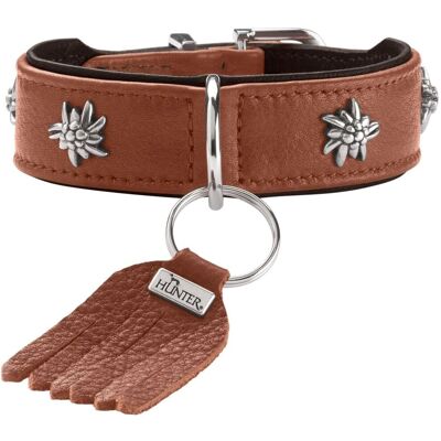 Hunter Model 32 Cognac/Black Traditional Dog Collar - Halsband Hunter Model 32 Cognac/Black Traditional Dog Collar - Halsband